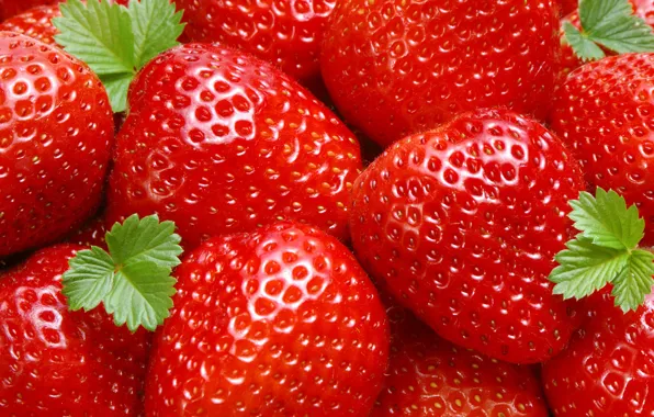 Berries, food, strawberry