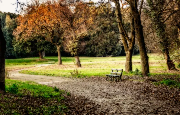 Autumn, Park, bench