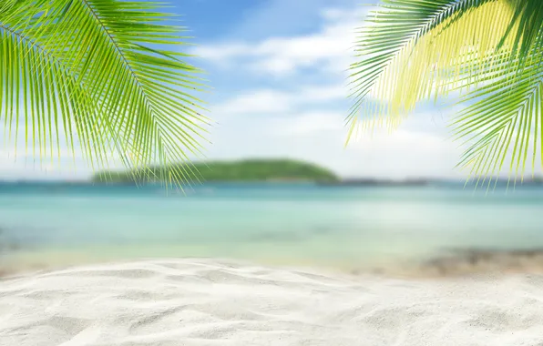 Sand, sea, beach, summer, the sky, palm trees, summer, beach