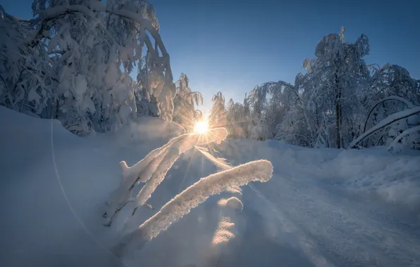 Picture winter, road, snow, trees, the snow, Russia, Perm Krai, Andrei