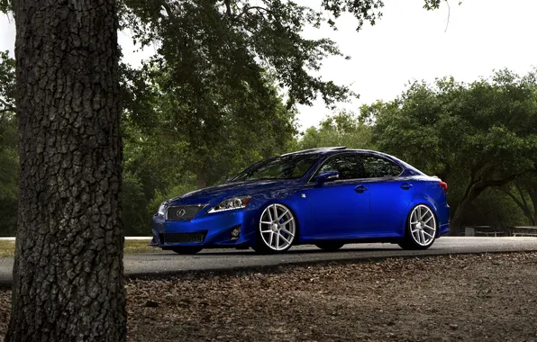 Lexus, F Sport, IS250