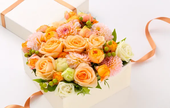 Box, gift, gentle, Roses, Roses, gift, Dahlias, Bouquets