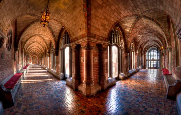Light, wall, the building, Windows, door, Chicago, benches, University