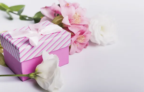 Flowers, gift, Lily, tape, pink, white, white, pink