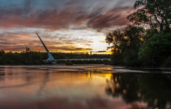 The sky, clouds, trees, bridge, nature, the city, reflection, river