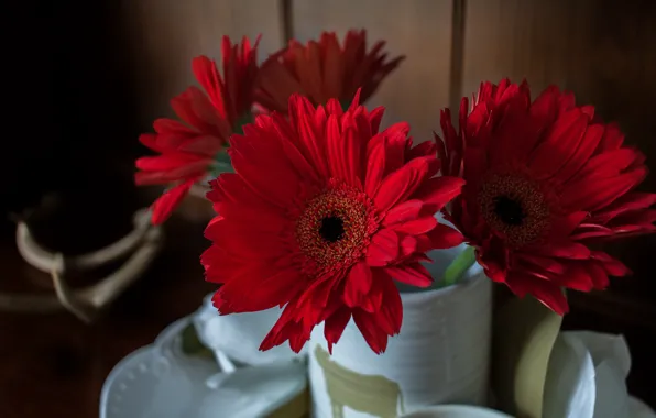 Flowers, Board, bouquet, Bank, red, gerbera, ceramics