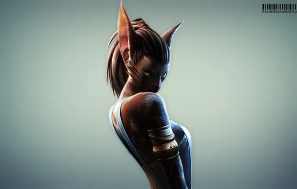 Cat, Archeage, Ferre