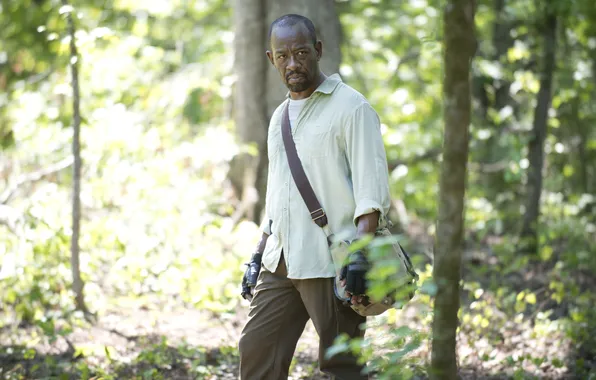 Picture forest, Morgan, The Walking Dead