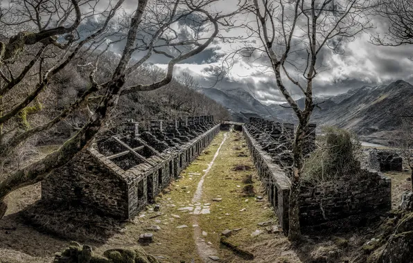 Road, forest, trees, mountains, branches, stones, overcast, the slopes