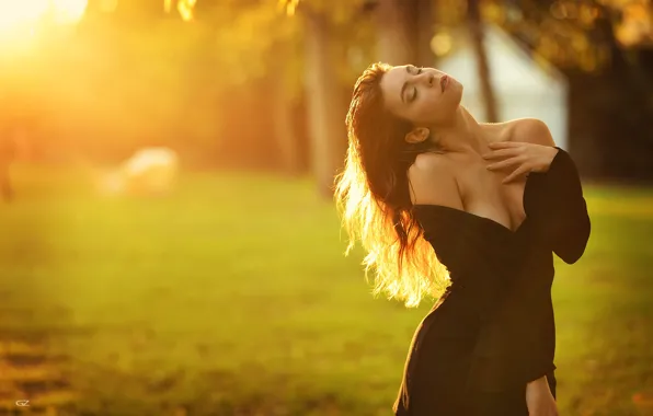 Chest, grass, the sun, trees, sexy, pose, model, body