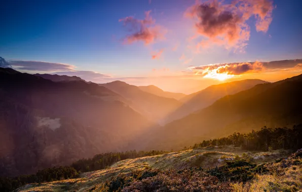 Forest, summer, the sky, clouds, rays, light, landscape, sunset