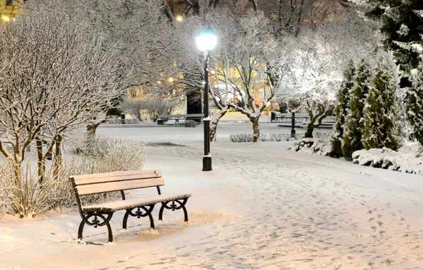 Picture winter, light, snow, trees, bench, nature, Park, the evening