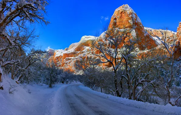 Picture winter, road, snow, trees, mountains, Utah, Zion National Park, Utah