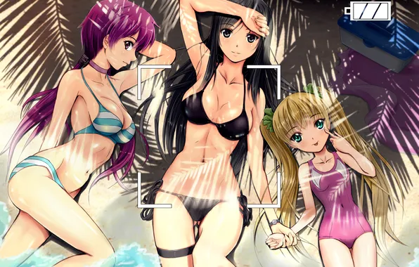 Beach, palm trees, girls, the camera, swimwear, shooting