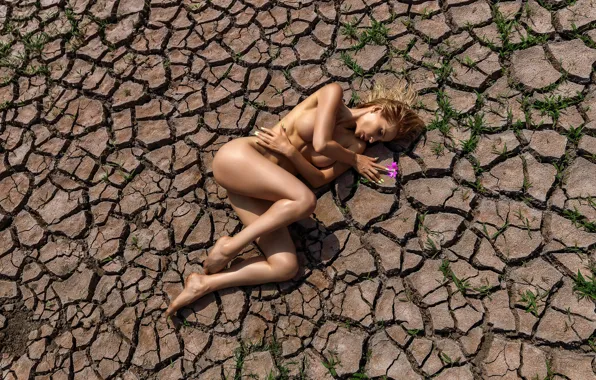 Flower, chest, the sun, pose, model, naked, body, makeup