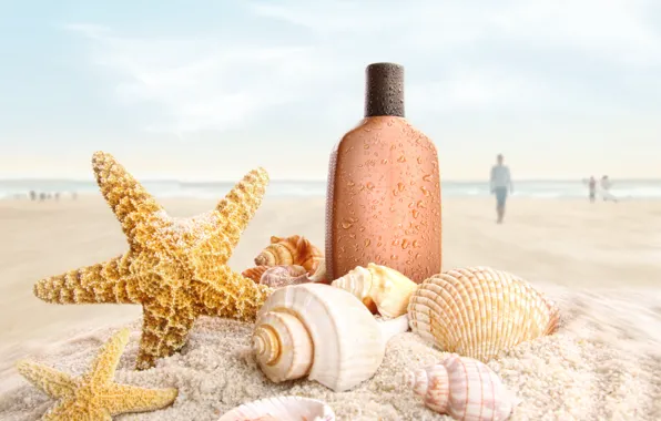 Sand, beach, shell, starfish