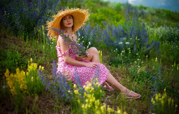 Picture field, look, girl, flowers, model, hat, dress, beautiful