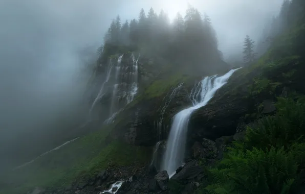 Picture forest, trees, nature, fog, river, rocks, waterfall, haze