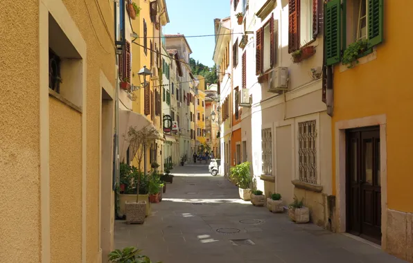 Picture building, home, street, street, Piran, Slovenia, Slovenia, Piran