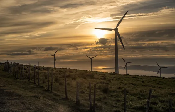 Landscape, sunset, windmills