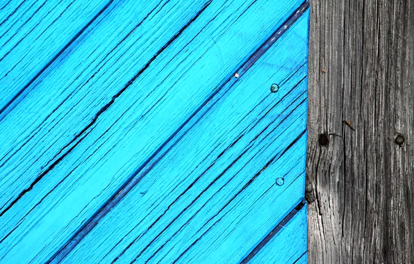 Cracked, tree, Board, blue color