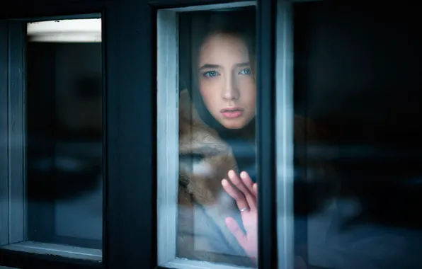 Window, sponge, the beauty, Diana Shemetova