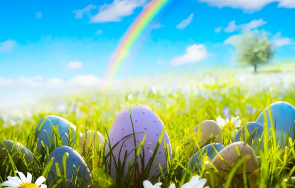 Picture grass, flowers, chamomile, eggs, spring, Easter, grass, sunshine