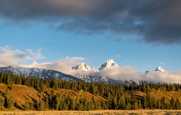 Autumn, forest, the sky, clouds, light, mountains, hills, blue