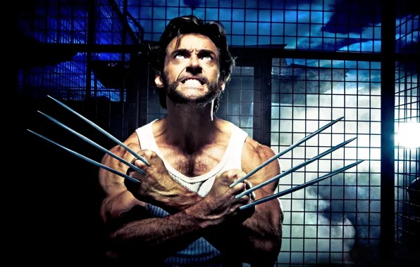 Picture blade, hero, actor, claws, male, knives, Hugh Jackman, hugh jackman