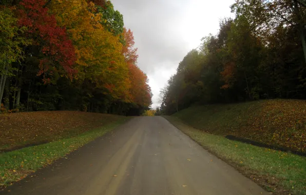 Road, autumn, leaves, trees, Nature, falling leaves, road, trees