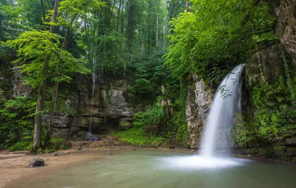 Greens, forest, trees, stones, rocks, waterfall, moss, Switzerland