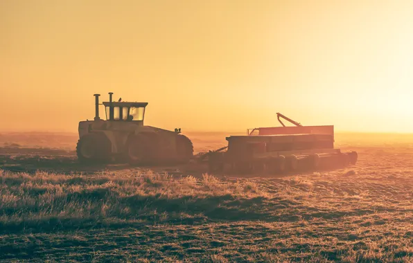 Field, countryside, tractor