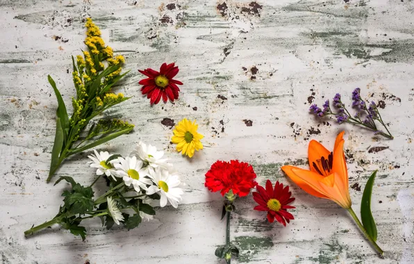 Flowers, colorful, wood, flowers, composition, floral