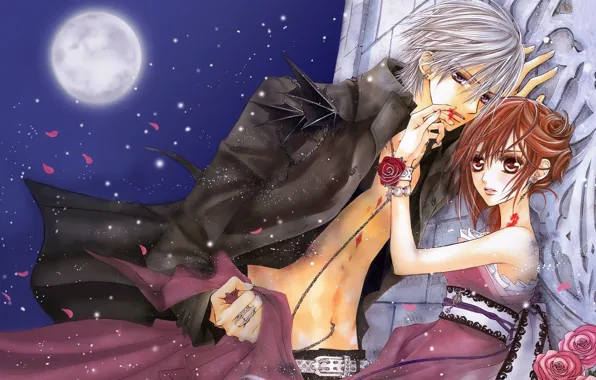 Girl, night, the moon, blood, roses, petals, guy, vampire knight