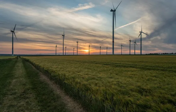 Field, sunset, windmills