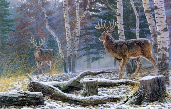 Picture autumn, forest, animals, stump, the opposition, birch, painting, deer