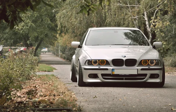 Road, trees, lights, bmw, angel eyes, nation, silver, stance