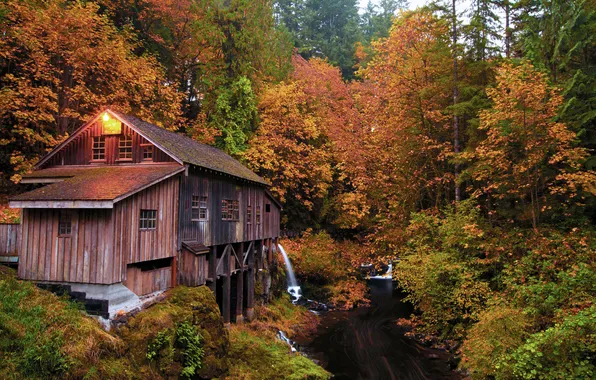 Picture autumn, forest, nature, house, river
