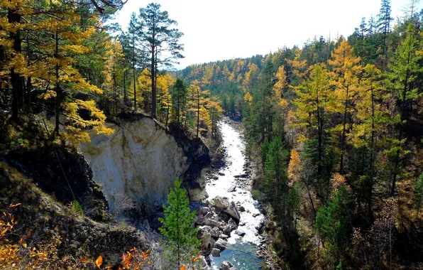 Autumn, forest, mountains, river