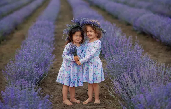 Picture field, summer, nature, children, girls, a bunch, lavender, wreaths