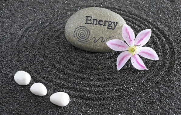 Energy, flowers, stone, Japan, garden, Japan, stone, Zen