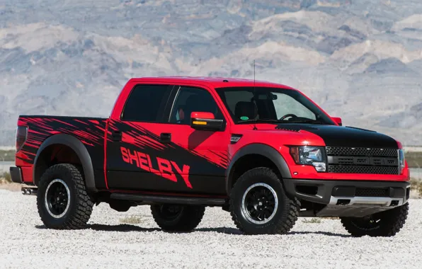 Ford, Shelby, Ford, Raptor, Raptor, pickup, the front, F-150