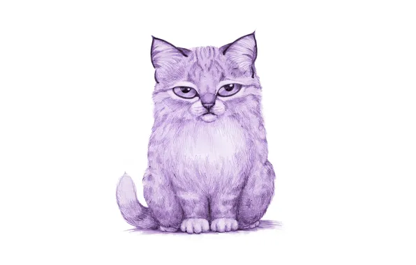 Picture cat, purple, cat, painting, lynx, light background