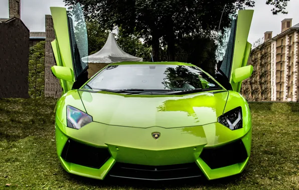 Picture trees, green, reflection, green, lamborghini, the front, aventador, lp700-4