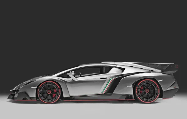 Picture color, view, Lamborghini, flag, back, Italy, fin, Veneno
