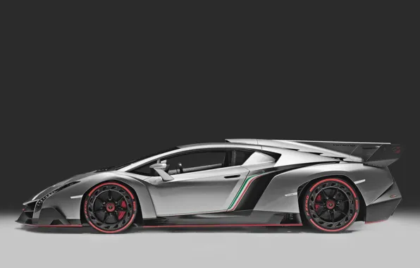 Color, view, Lamborghini, flag, back, Italy, fin, Veneno