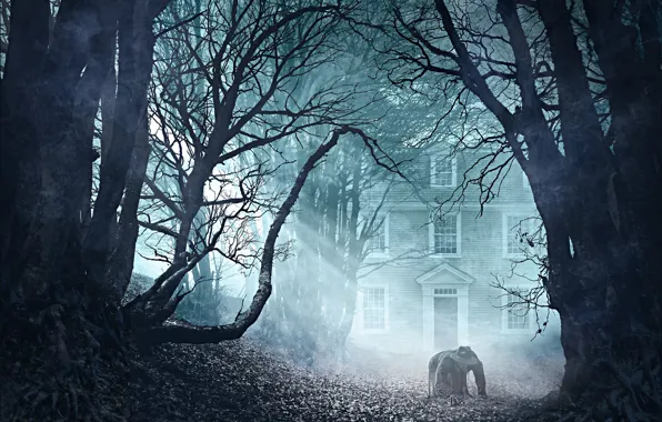 Trees, fog, building, man, Lovecraft's The Thing in the Doorstep