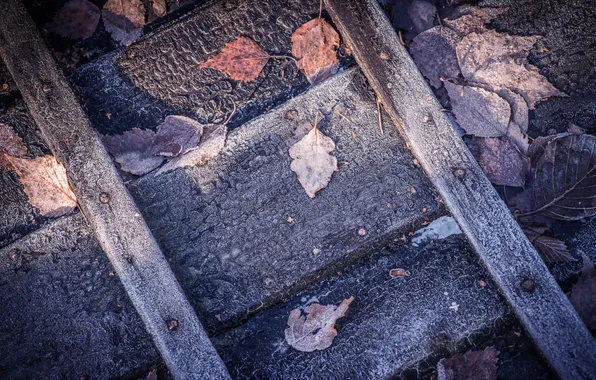 Picture leaves, boat, Frost Triptych