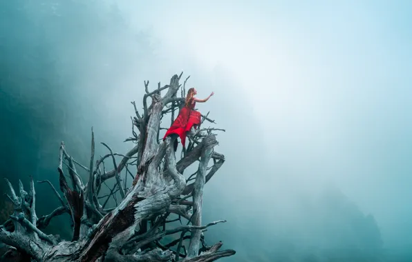 Forest, the sky, girl, branches, nature, pose, fog, tree