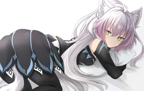 Picture girl, neko, Fate / Grand Order, The destiny of a great campaign